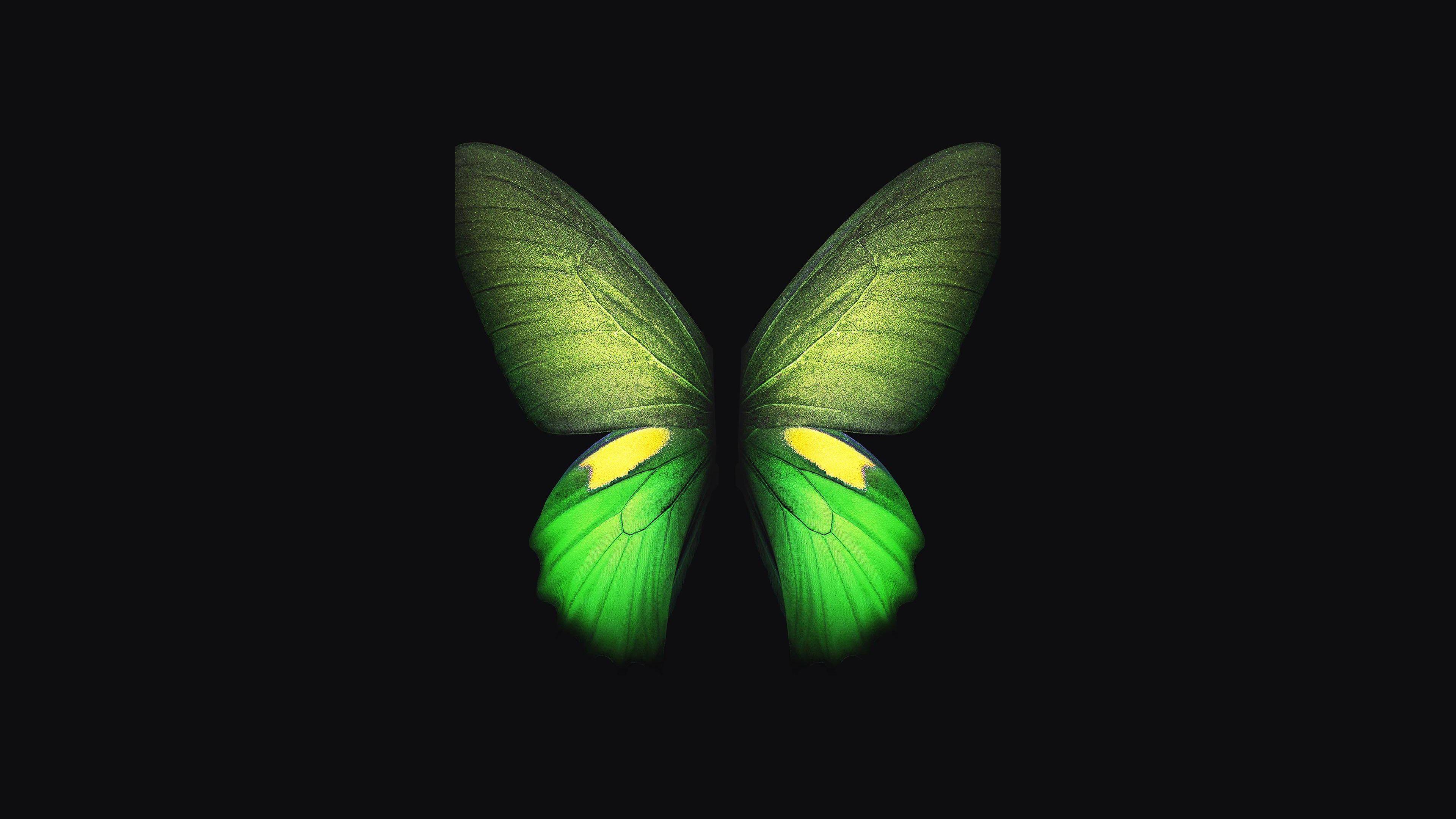 3840x2160 Samsung Galaxy Fold Green Butterfly 4K