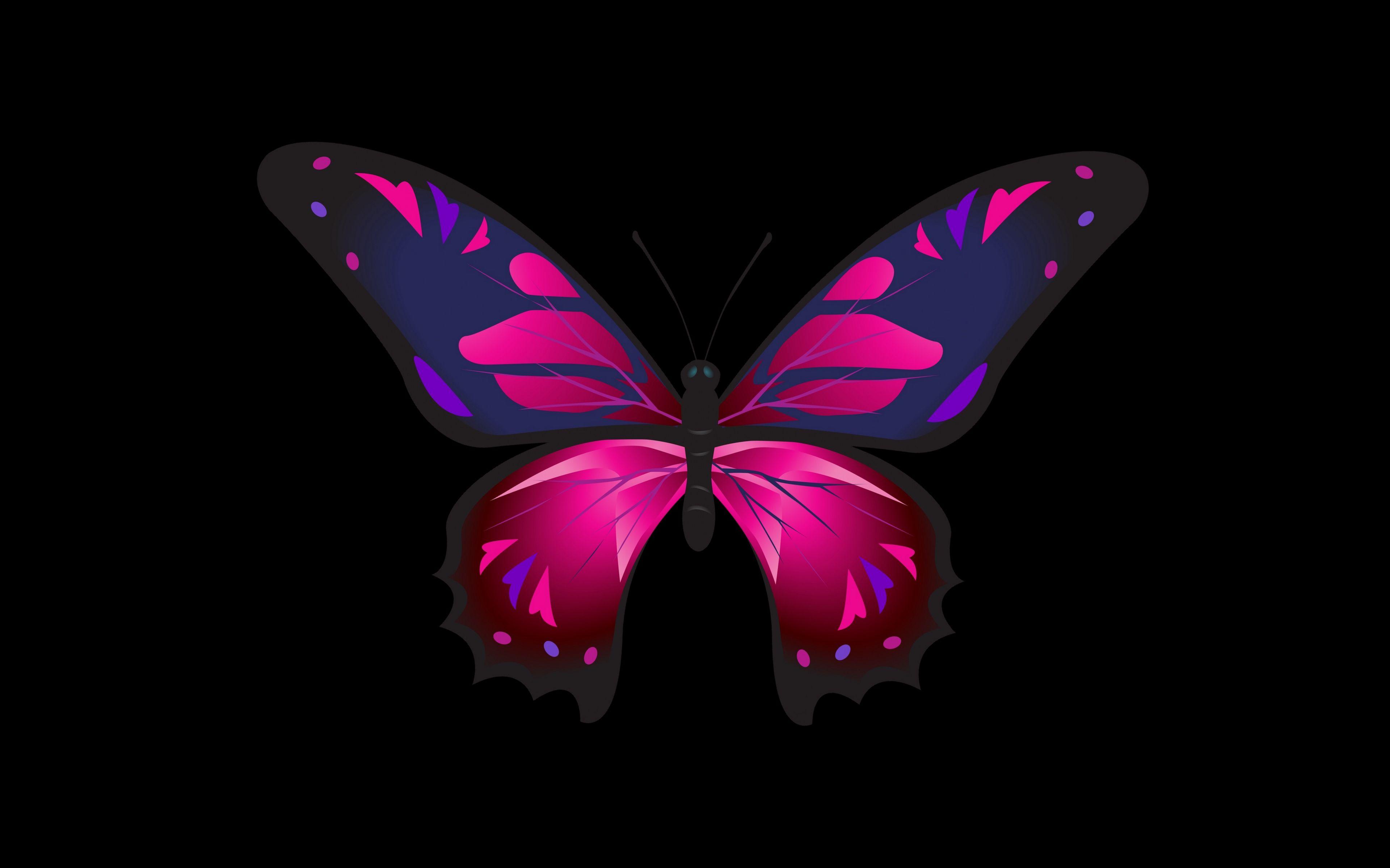 Butterfly 4k Wallpapers - Top Free Butterfly 4k Backgrounds