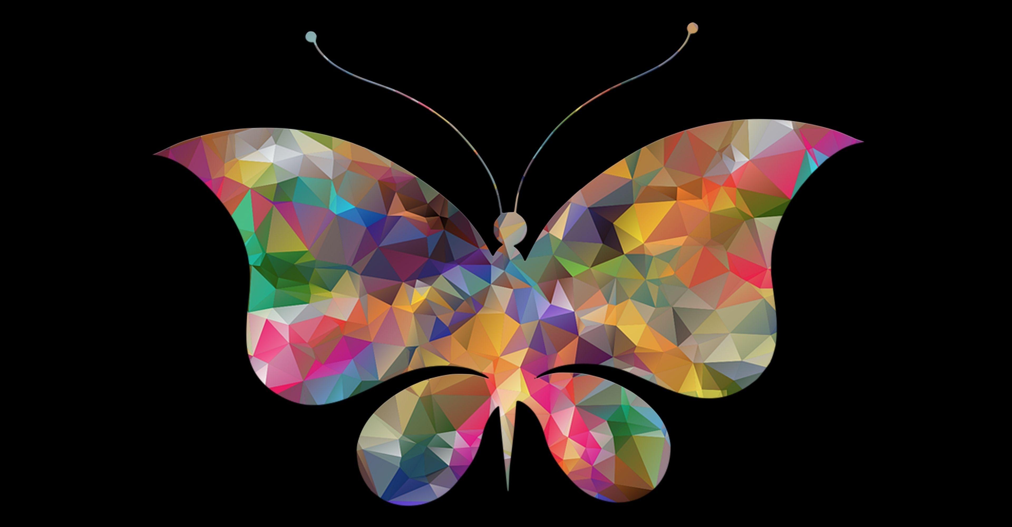 Butterfly 4k Wallpapers - Top Free Butterfly 4k Backgrounds