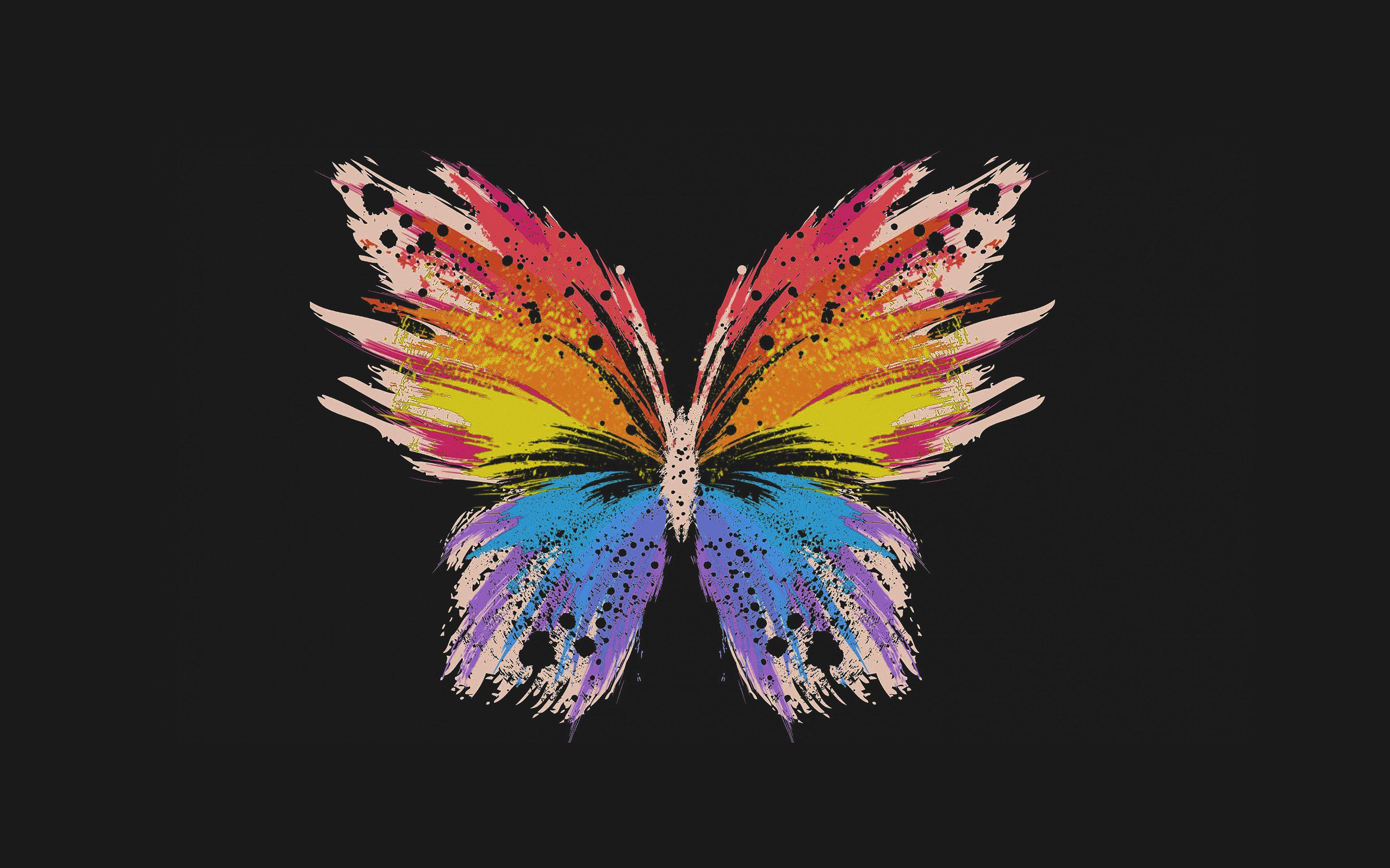 Butterfly 4k Wallpapers - Top Free Butterfly 4k Backgrounds