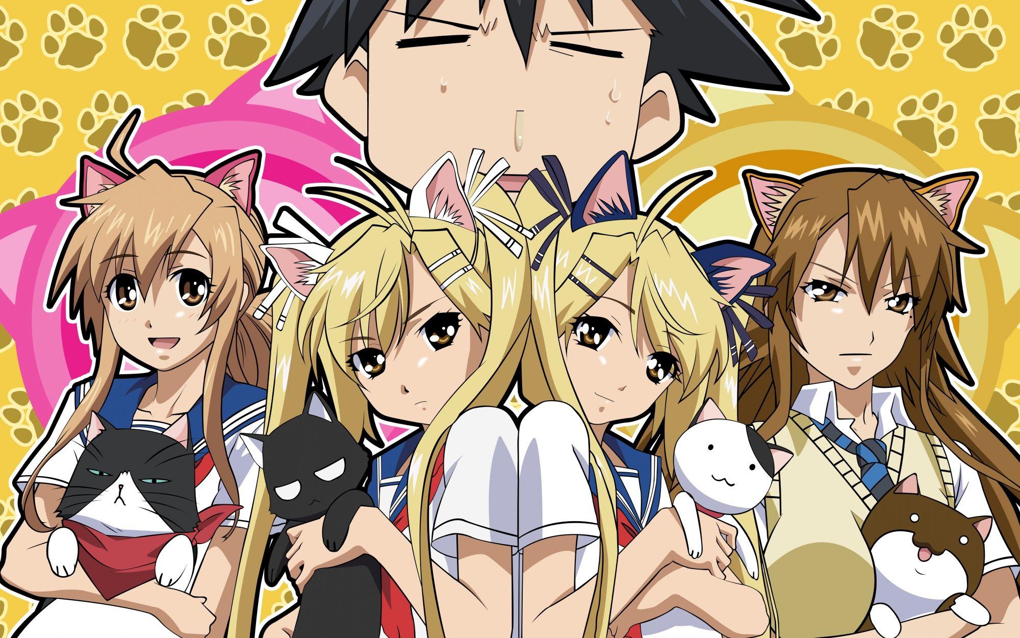 2000x1250 Nyan Koi! Full HD Wallpaper and Background Imagex1250