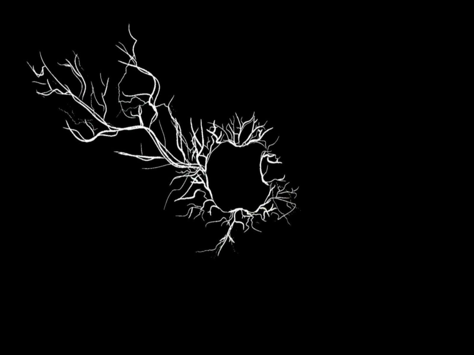 1600x1200 Cute Black Wallpaper