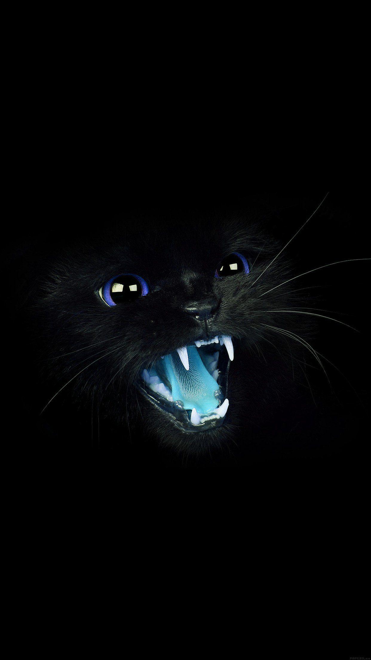 1242x2208 Black Cat Blue Eye Roar Animal Cute Android wallpaper HD