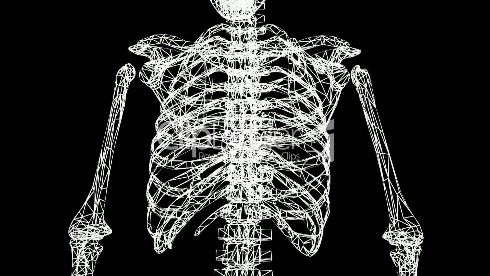 Human Biology Wallpapers - Top Free Human Biology Backgrounds