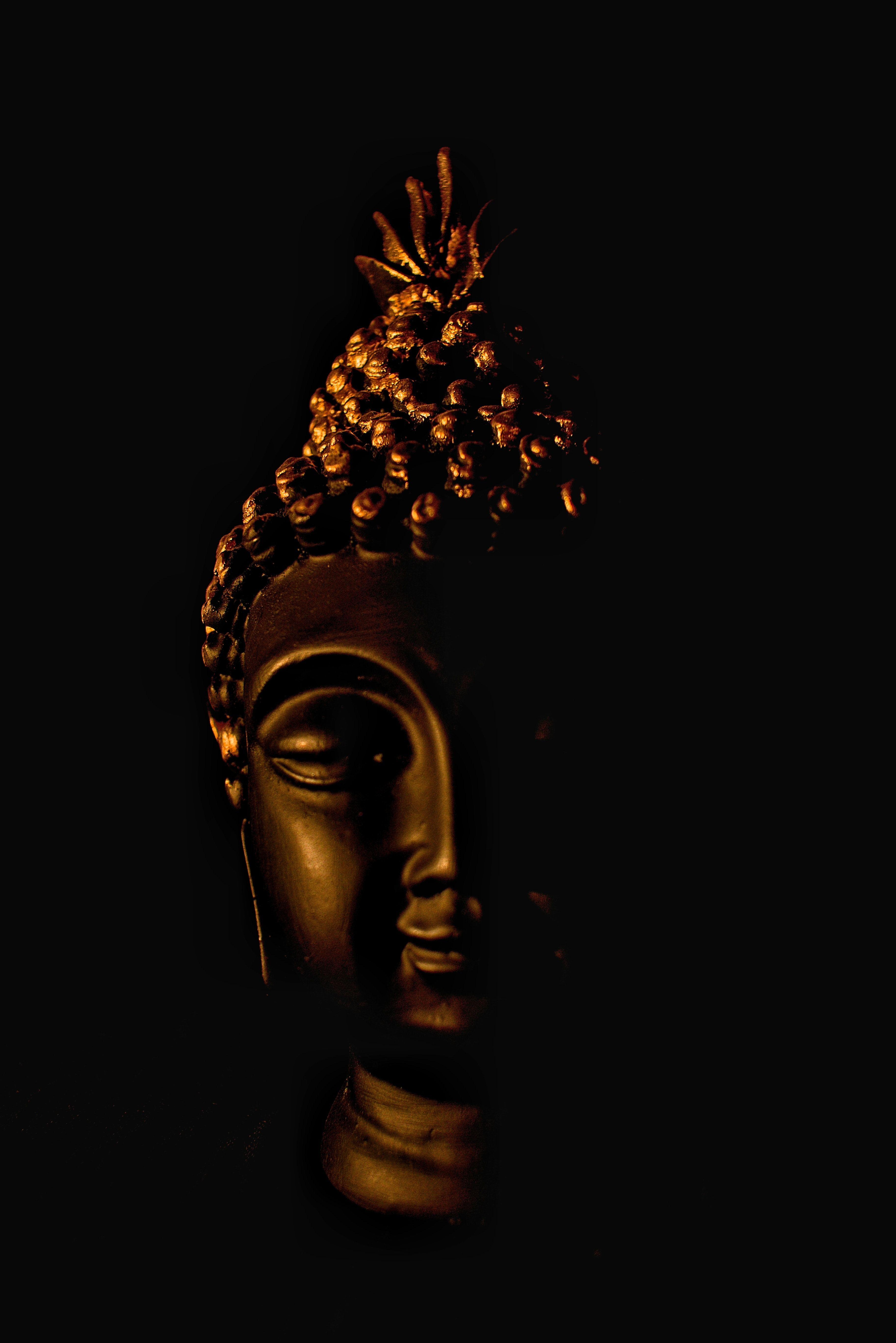 Ảnh tượng Phật Gautama 3653x5473 - Hình ảnh thờ cúng miễn phí