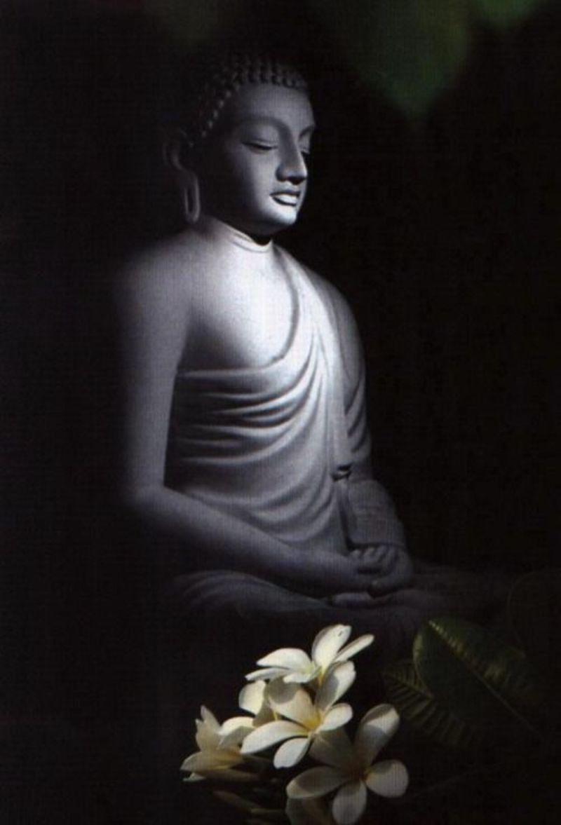800x1177 hình nền Phật