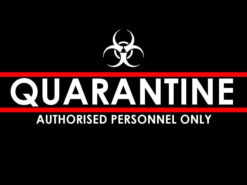 Quarantine Wallpapers - Top Free Quarantine Backgrounds - WallpaperAccess