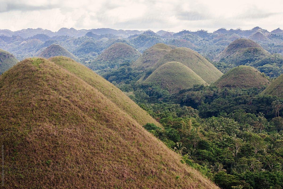 Chocolate Hills Wallpapers - Top Free Chocolate Hills Backgrounds ...