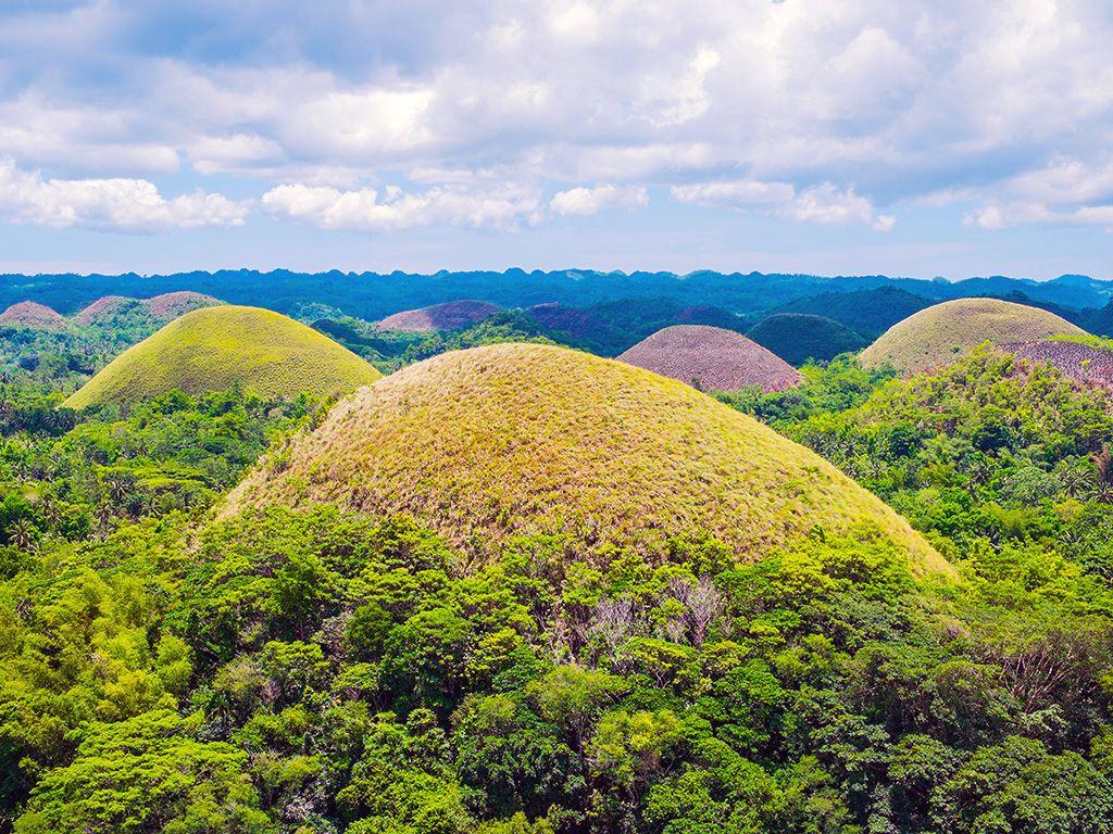 1024x768 Tour Chocolate Hills And Tarsier Encounter. Hotels