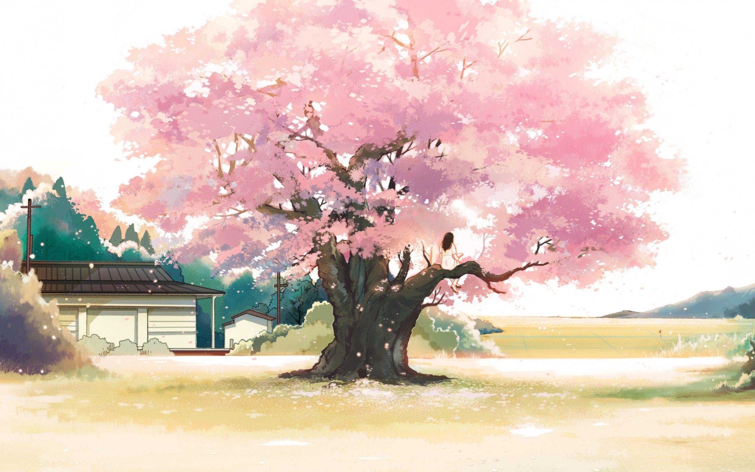 2560x1600 Download 2560x1600 Anime Landscape, Girl, Cherry Blossom, Pink