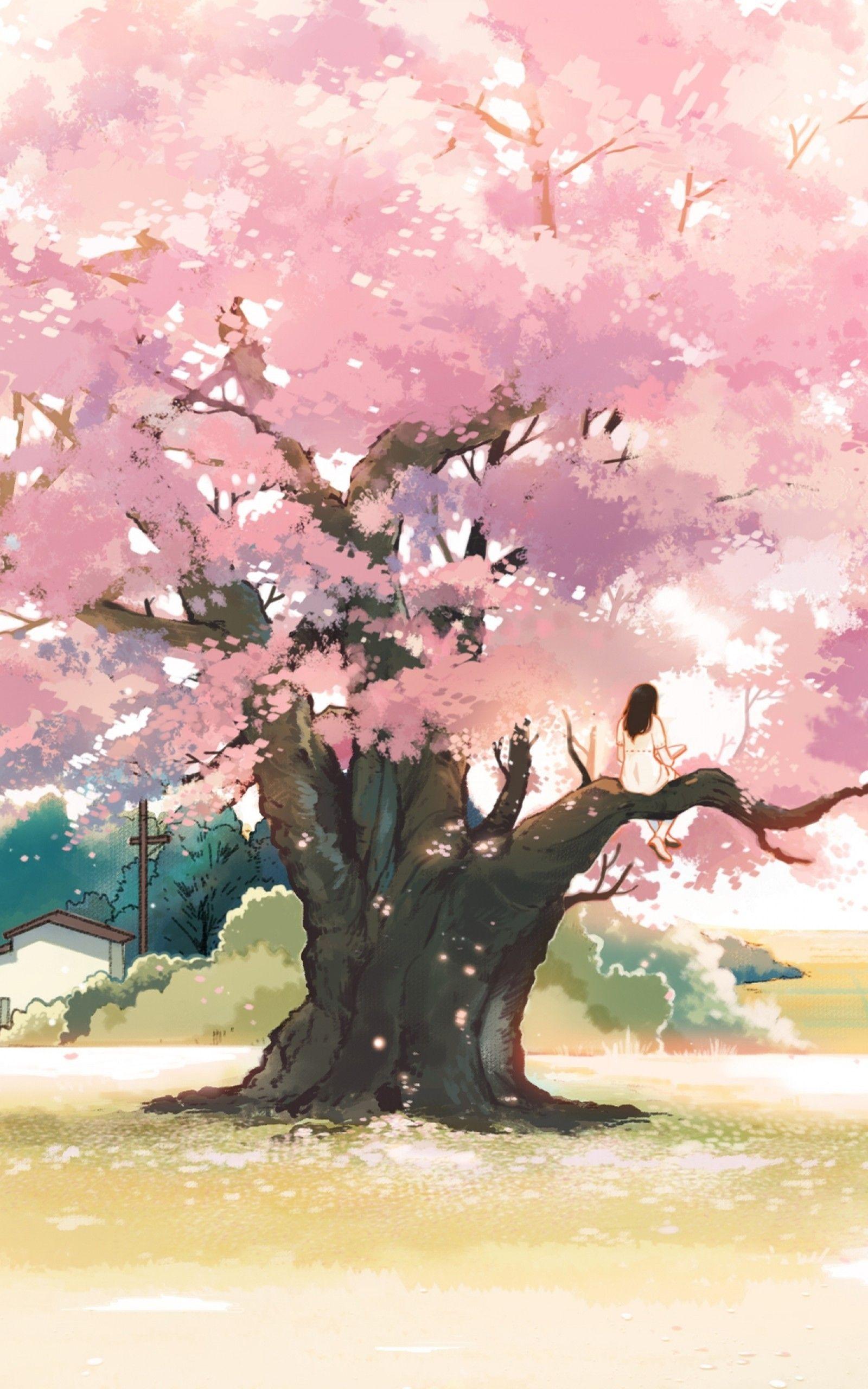 1600x2560 Download 1600x2560 Anime Landscape, Girl, Cherry Blossom, Pink