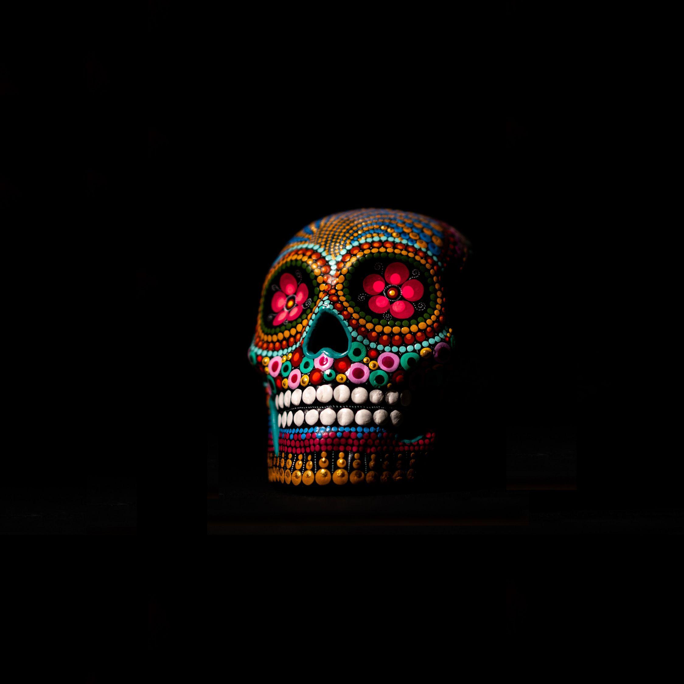 2248x2248 Download Skull, colorful, minimal, art wallpaper, 2248x iPad