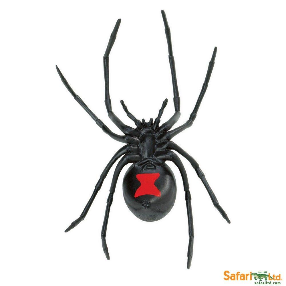 1000x1000 Free Black Widow Spider, Download Free Clip Art, Free Clip Art on Clipart Library