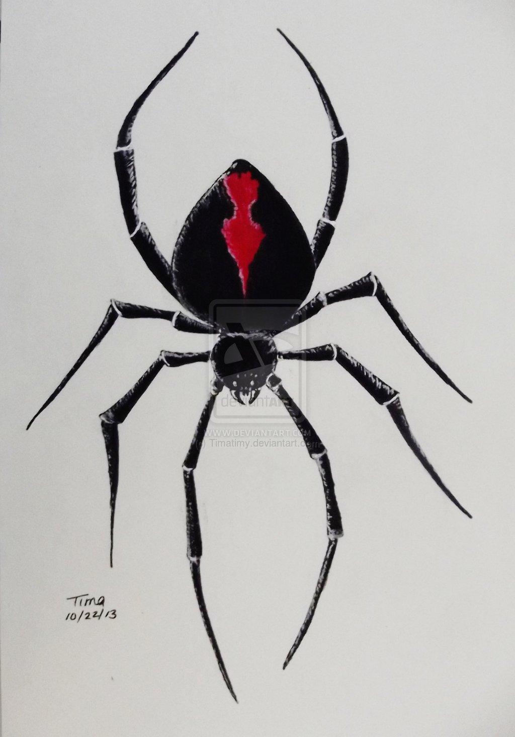1024x1464 3D Black Widow Spider Tattoo Design By Timatimy