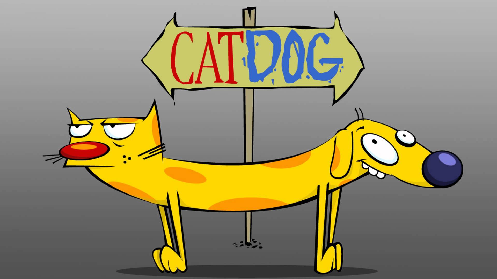 CatDog Cartoon Wallpapers - Top Free CatDog Cartoon Backgrounds -  WallpaperAccess