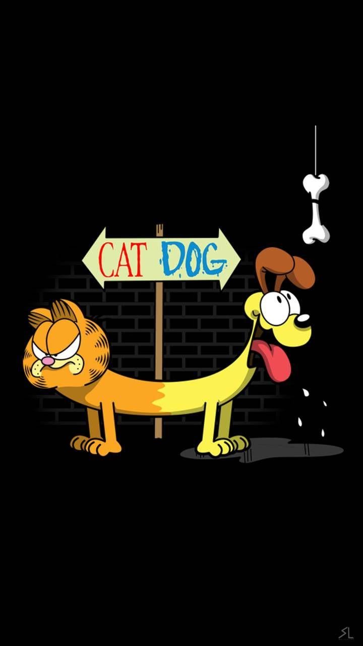 Catdog Cartoon Wallpapers Top Free Catdog Cartoon Backgrounds