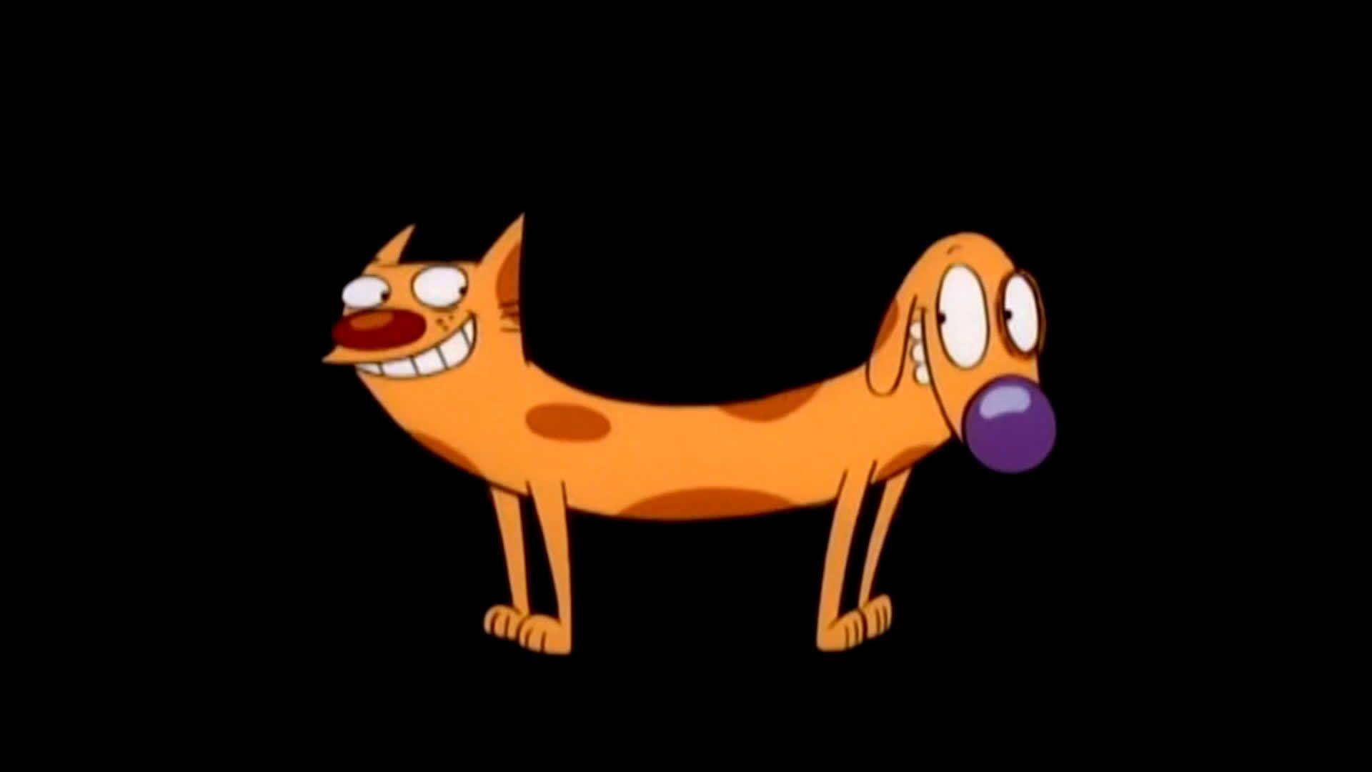 CatDog Cartoon Wallpapers Top Free CatDog Cartoon Backgrounds CatDog Cartoon Wallpapers Top Free CatDog Cartoon Backgrounds