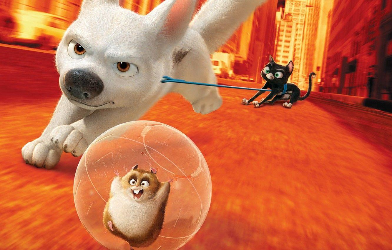 1332x850 Wallpaper cinema, nothing, cat, dog, movie, hero, film, animated