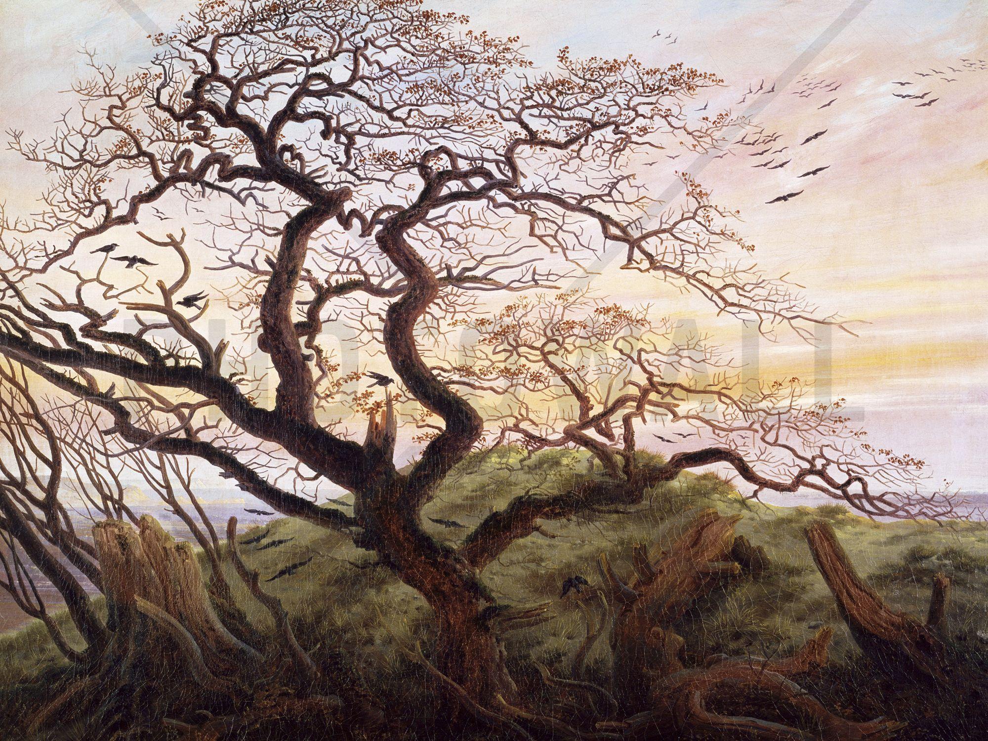 2000x1500 Tree of Crows, Caspar Friedrich Mural & Photo Wallpaper