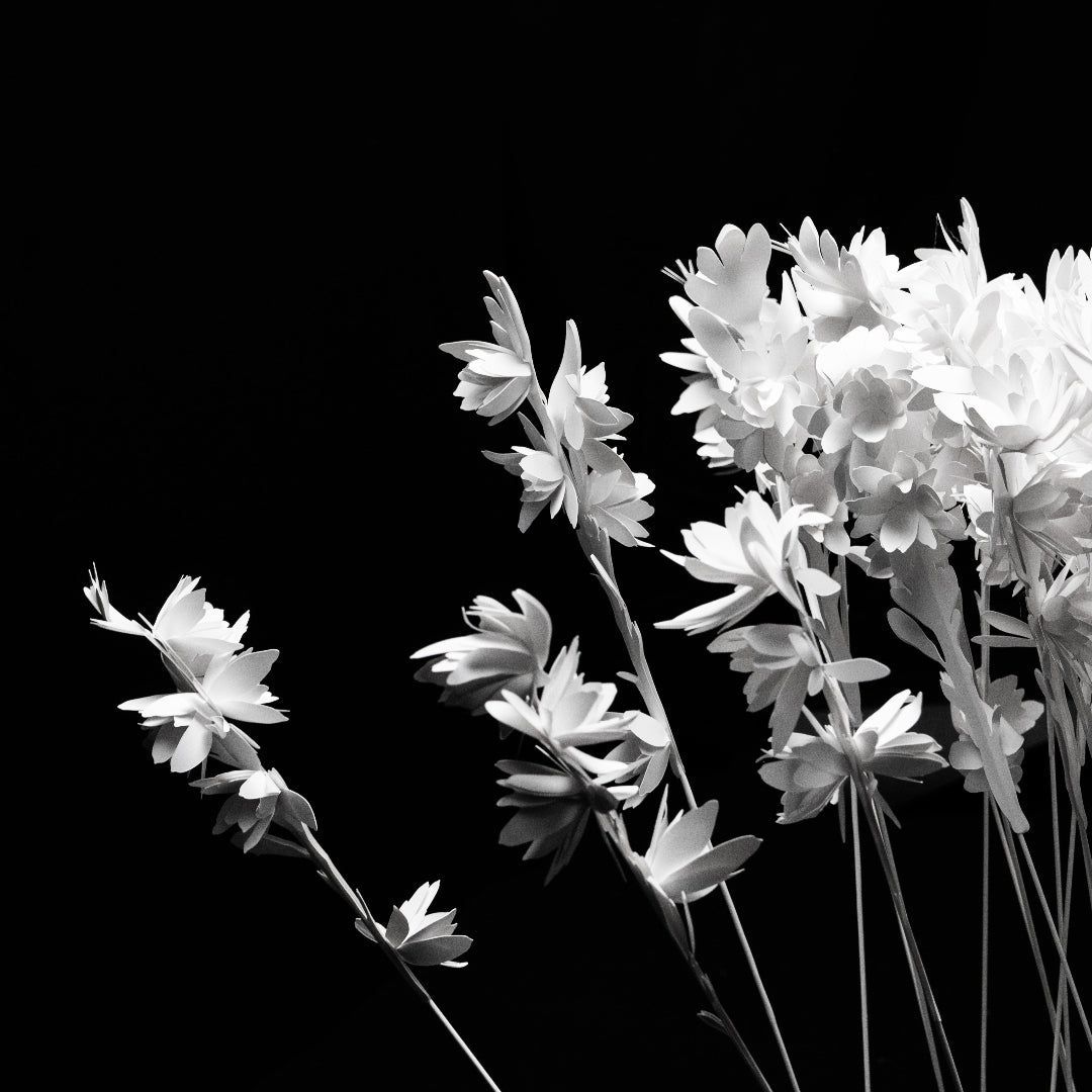 1080x1080 Tuberose Paper Flower
