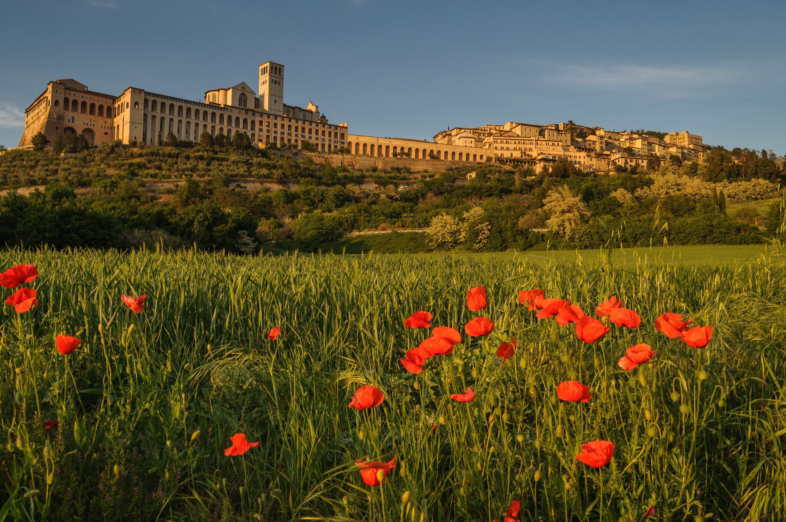 3071x2040 Download Assisi Hill Poppy Umbria Italy Man Made Town HD Wallpaper