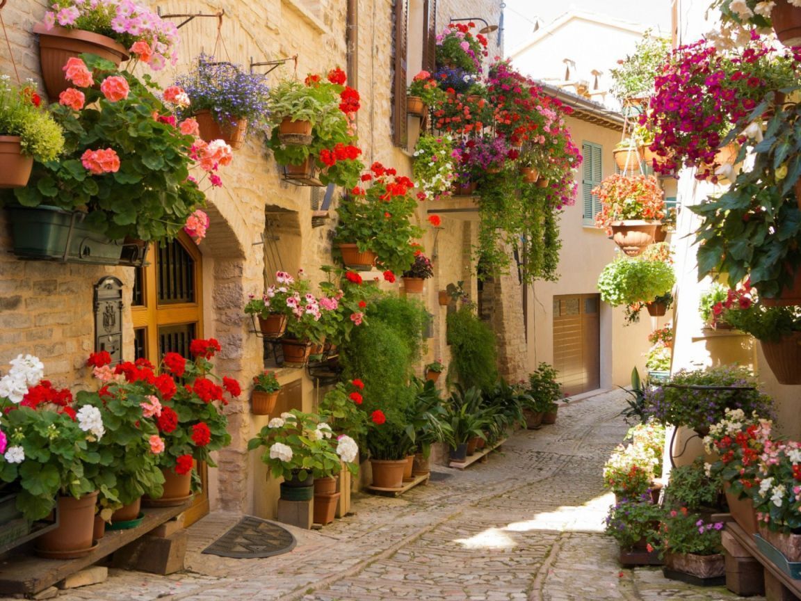 1152x864 Blooming Umbria, Italy Desktop wallpaper 1152x864
