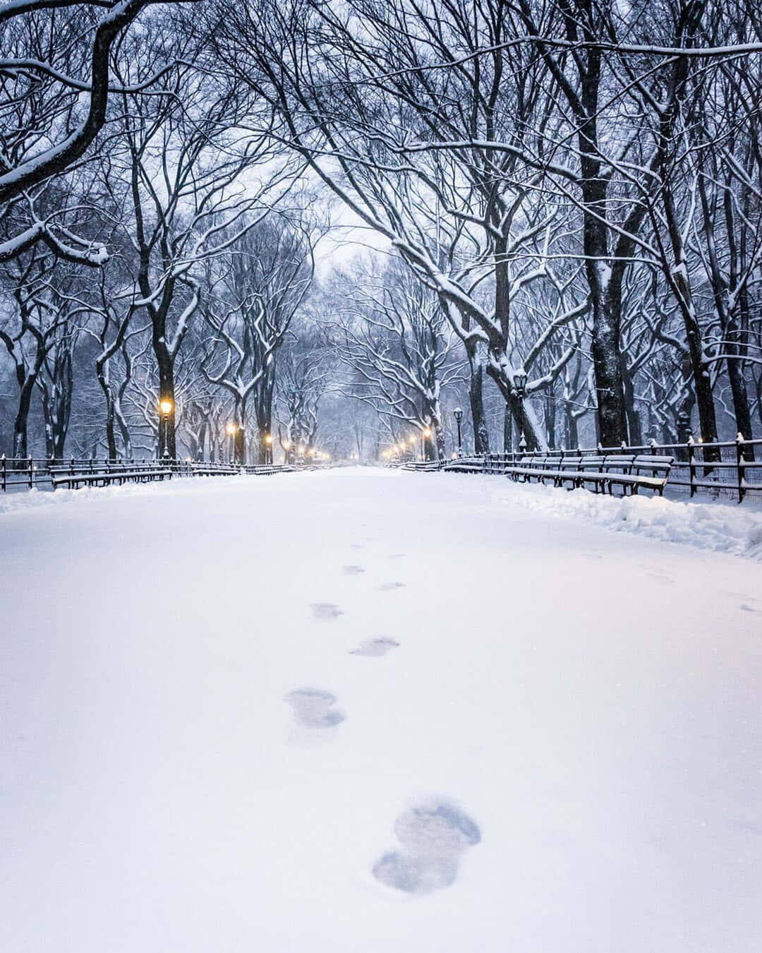 1080x1350 Download Cozy Winter Aesthetic Snow Path Footprints Photography Wallpaper