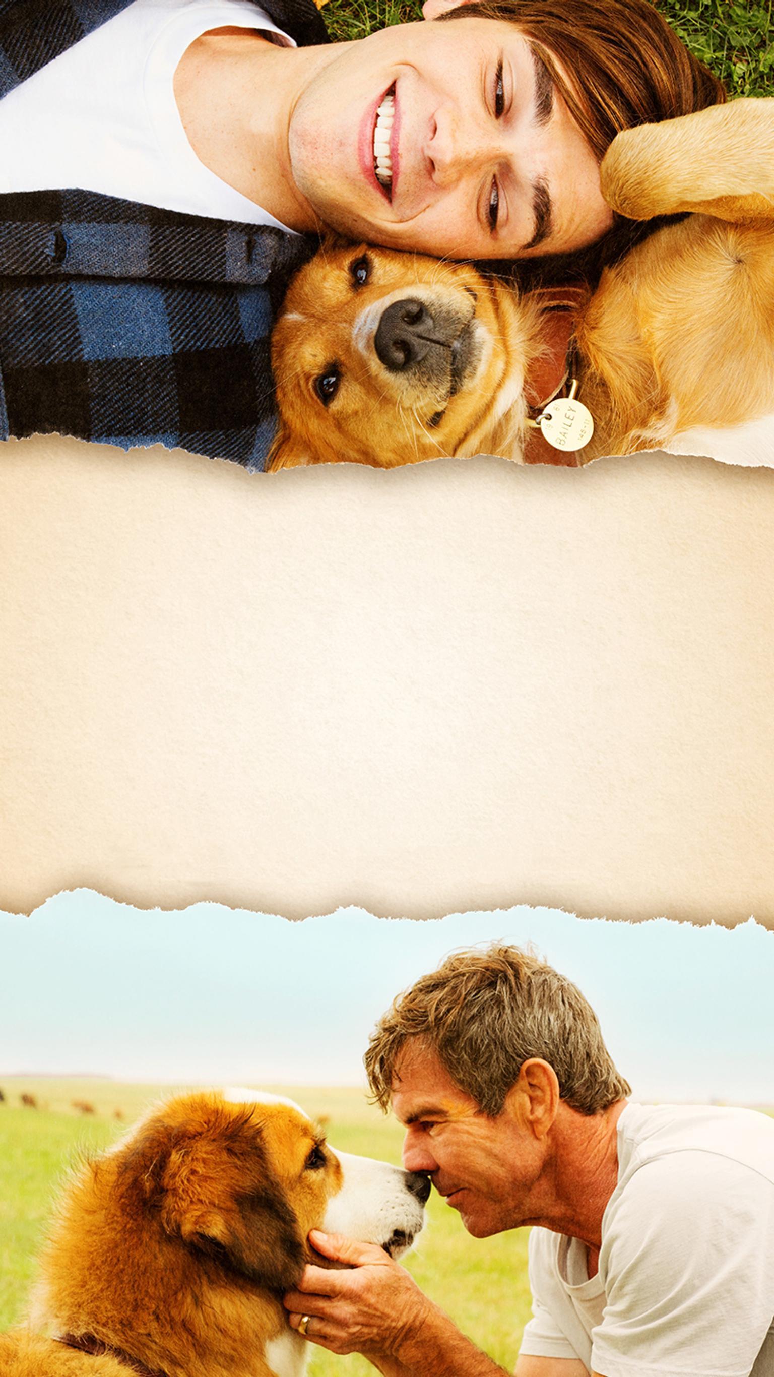 1536x2732 A Dog's Purpose (2017) Phone Wallpaper