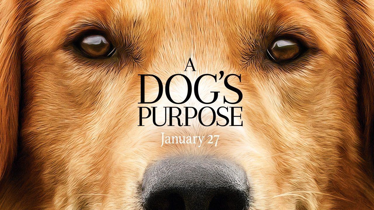 1280x720 A Dog's Purpose (HD)