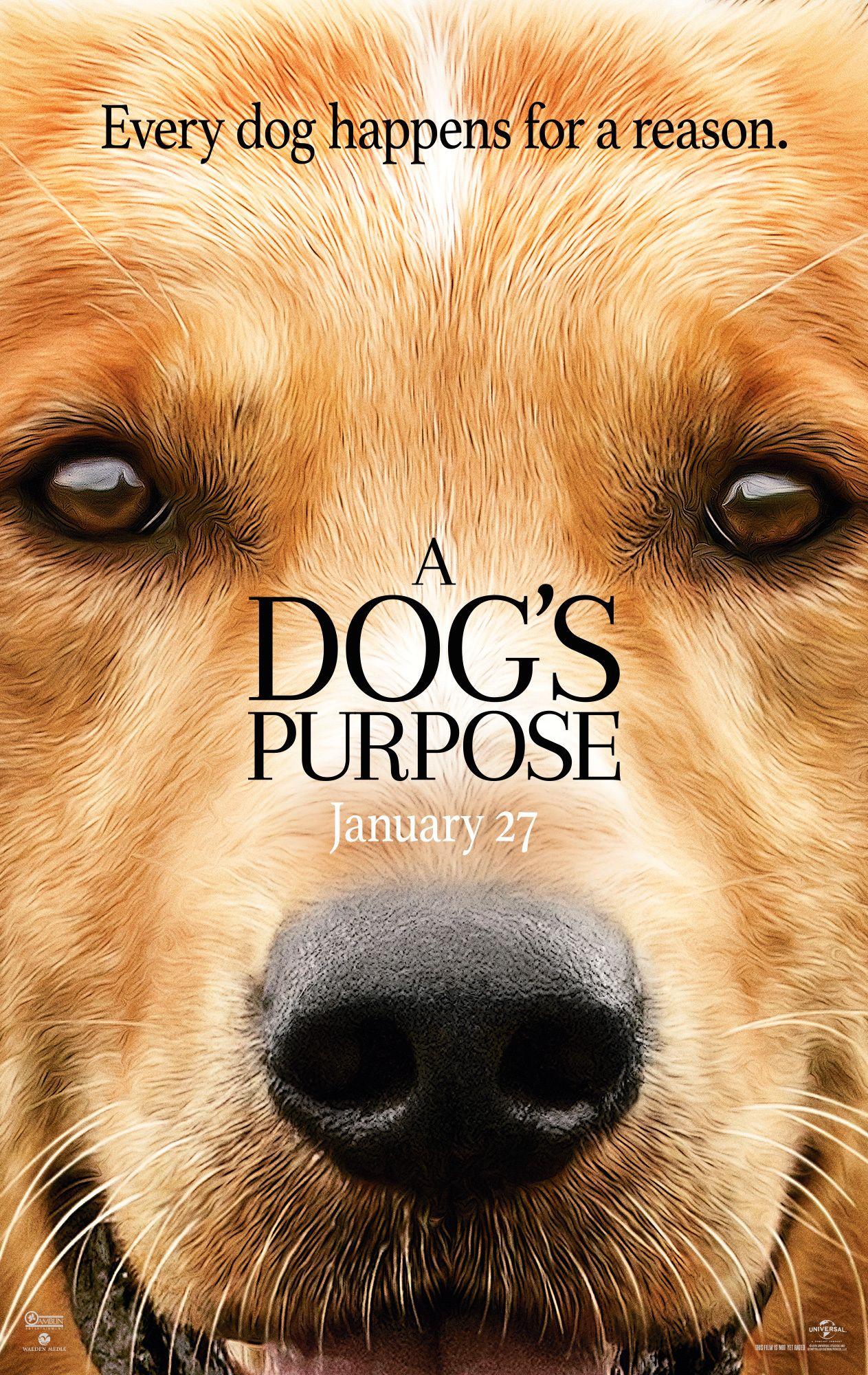 1263x2000 A Dog's Purpose (2017)