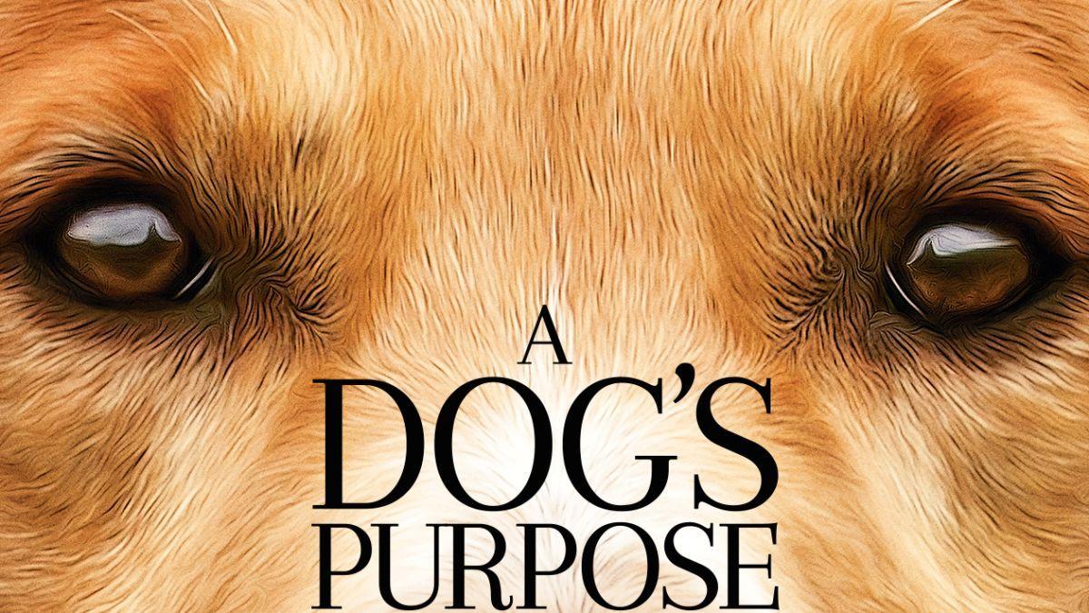 a dogs purpose soundtrack