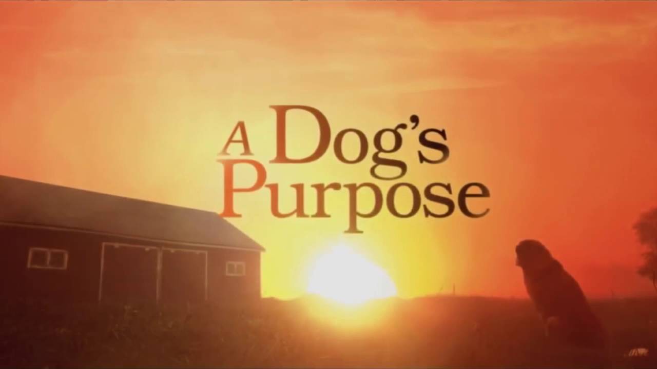 1280x720 A Dog's Purpose 2017 ( fan made )