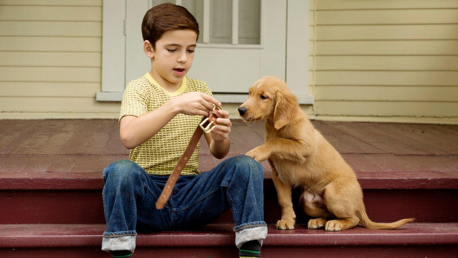 1600x900 Review: 'A Dog's Purpose' Is Touching, But Not Very Good