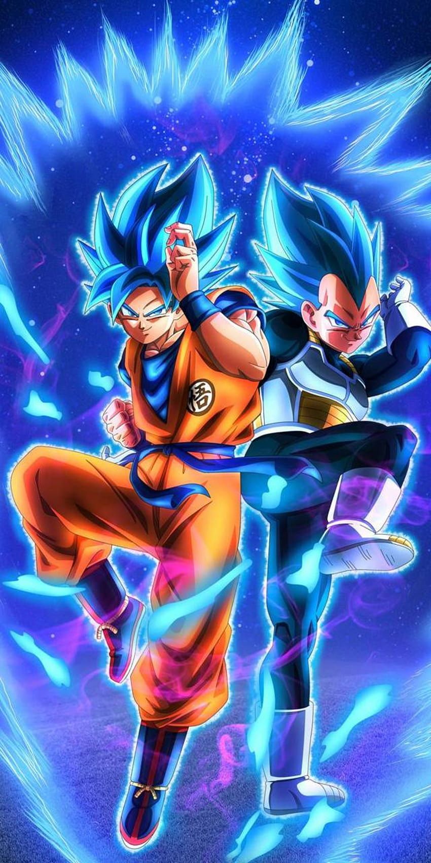 850x1700 Goku and Vegeta by LegendsDB HD phone wallpaper