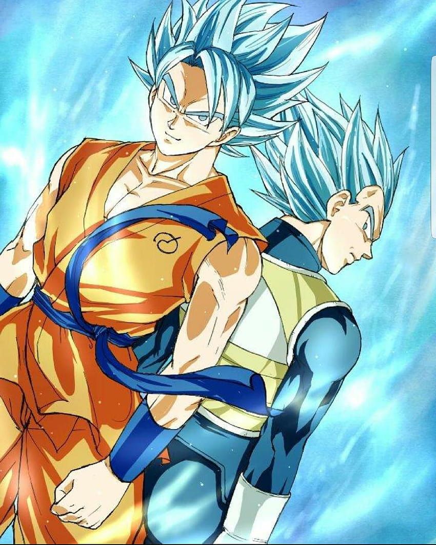 850x1063 Goku and Vegeta, goku vegeta phone HD phone wallpaper