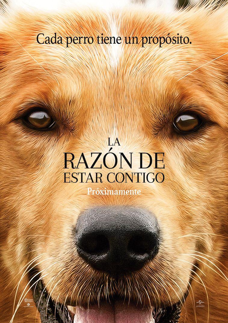 758x1074 A Dog's Purpose (2017)