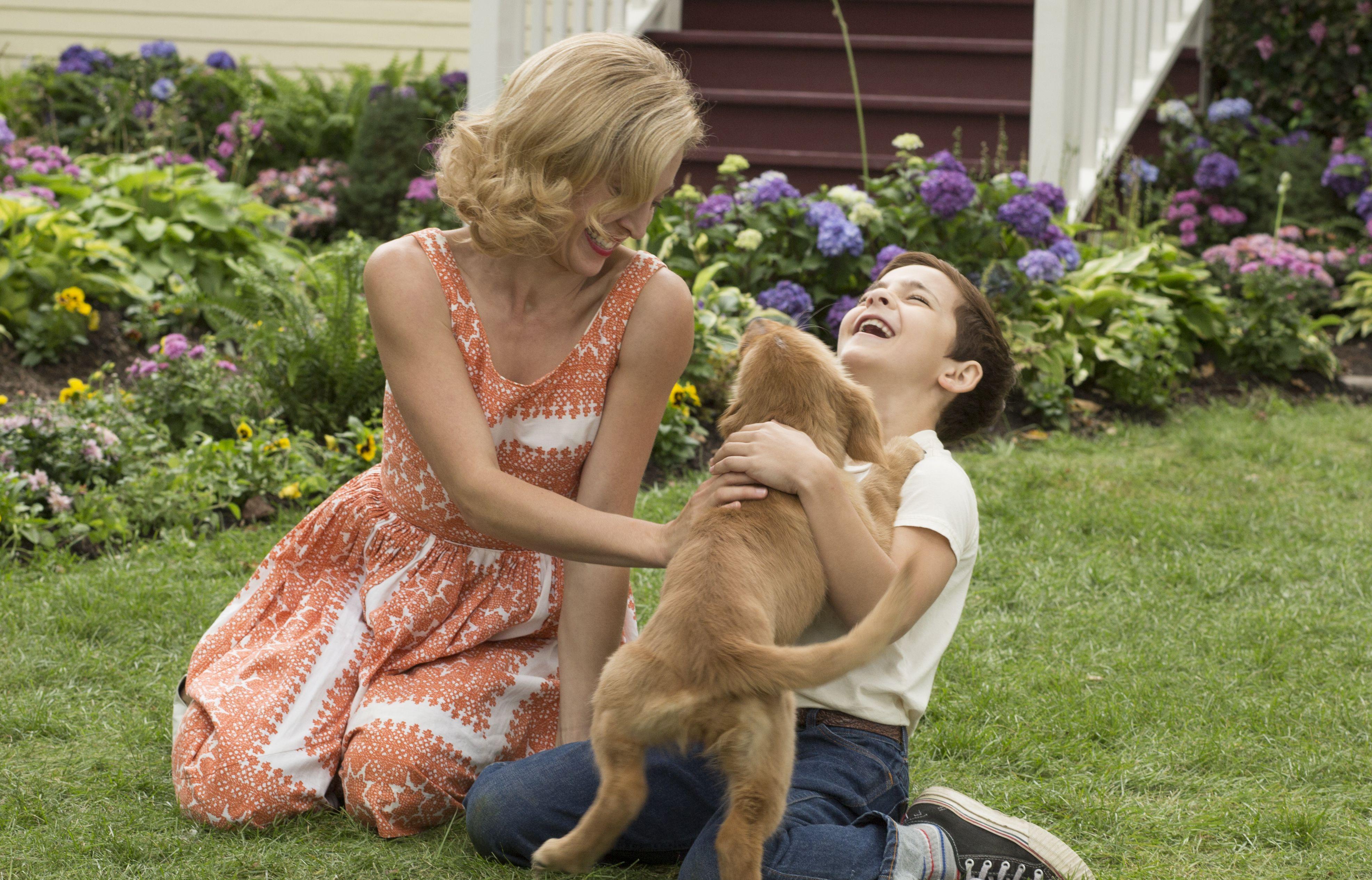 3947x2532 A Dog's Purpose Trailer: Kleenex Highly Recommended