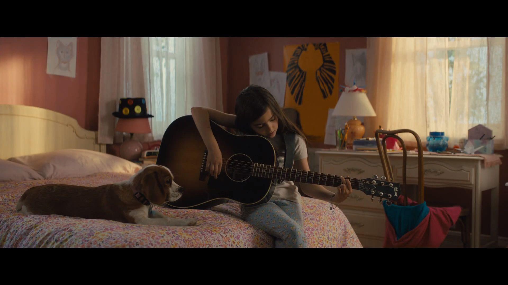 1920x1080 A Dog's Journey (2019)