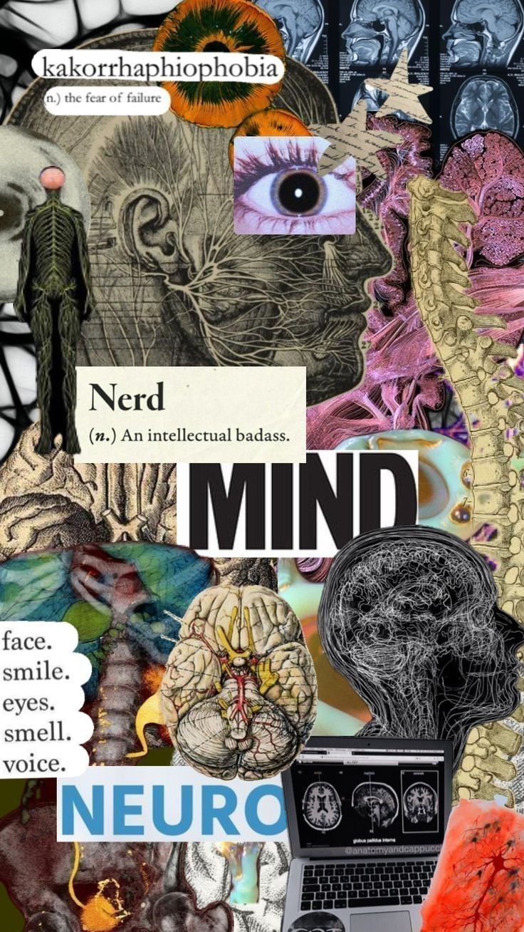 736x1308 Neuropsy. Neurology art, Medical wallpaper, Neurosurgeon aesthetic wallpaper
