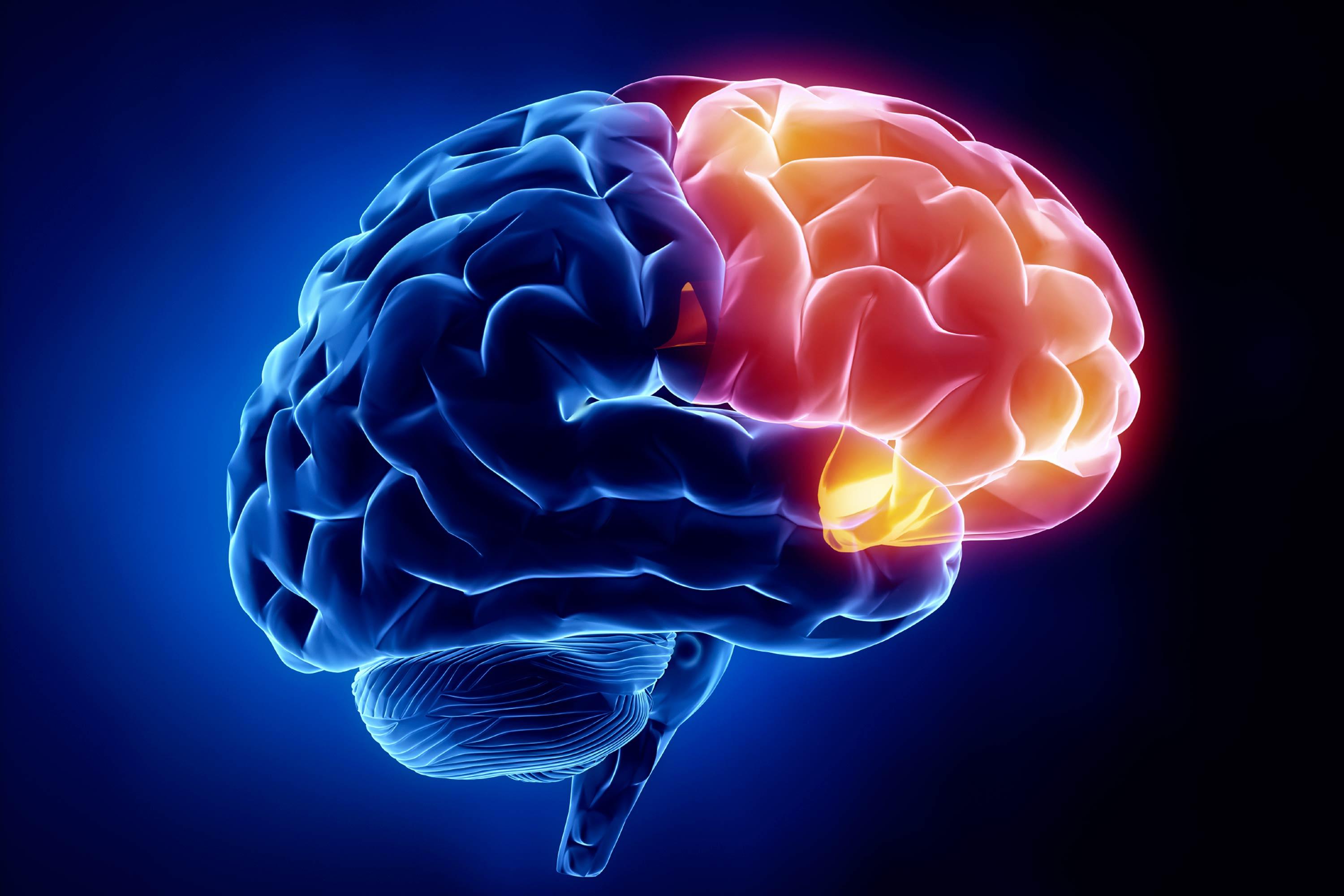 3000x2000 Neurologist Wallpaper