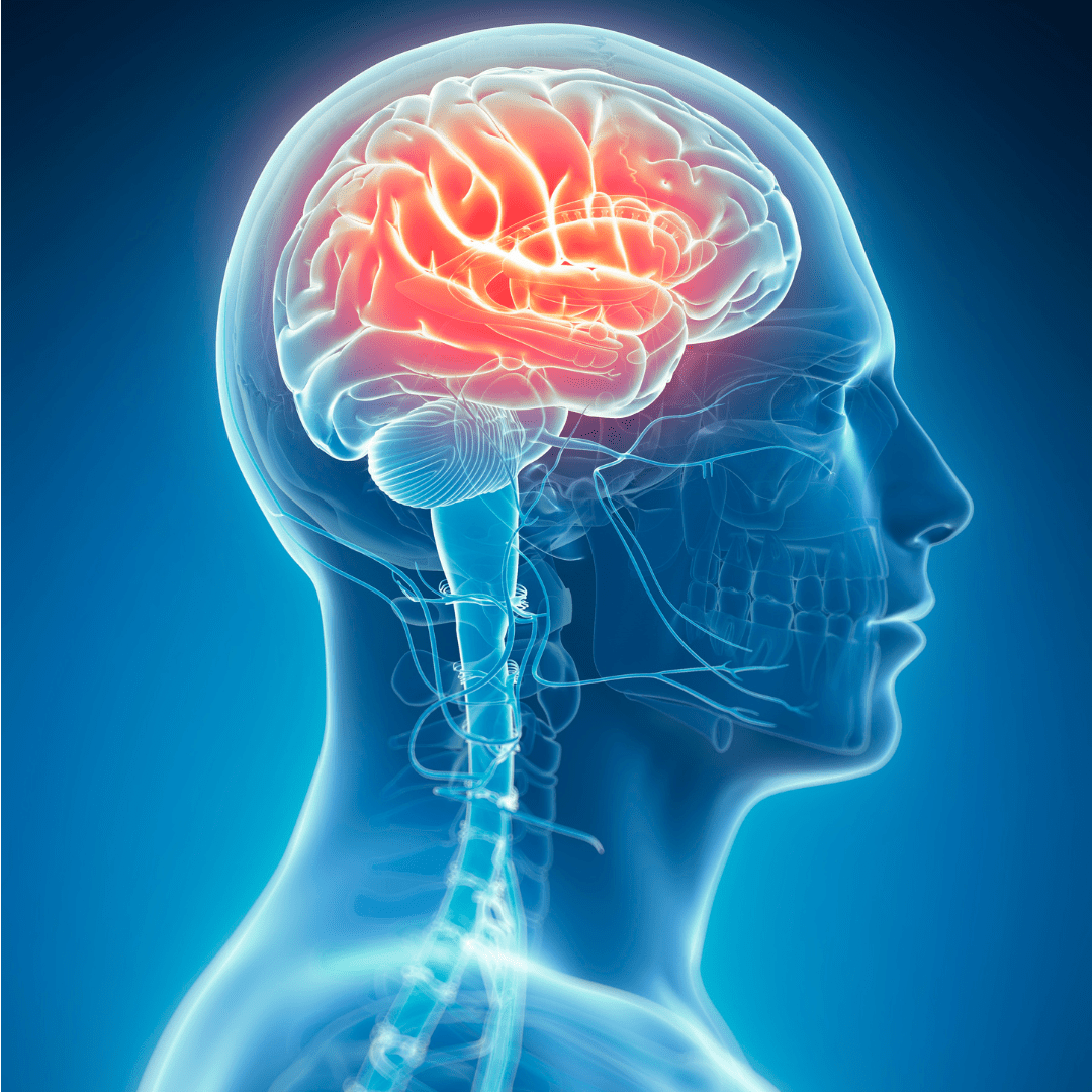 1080x1080 Neurology