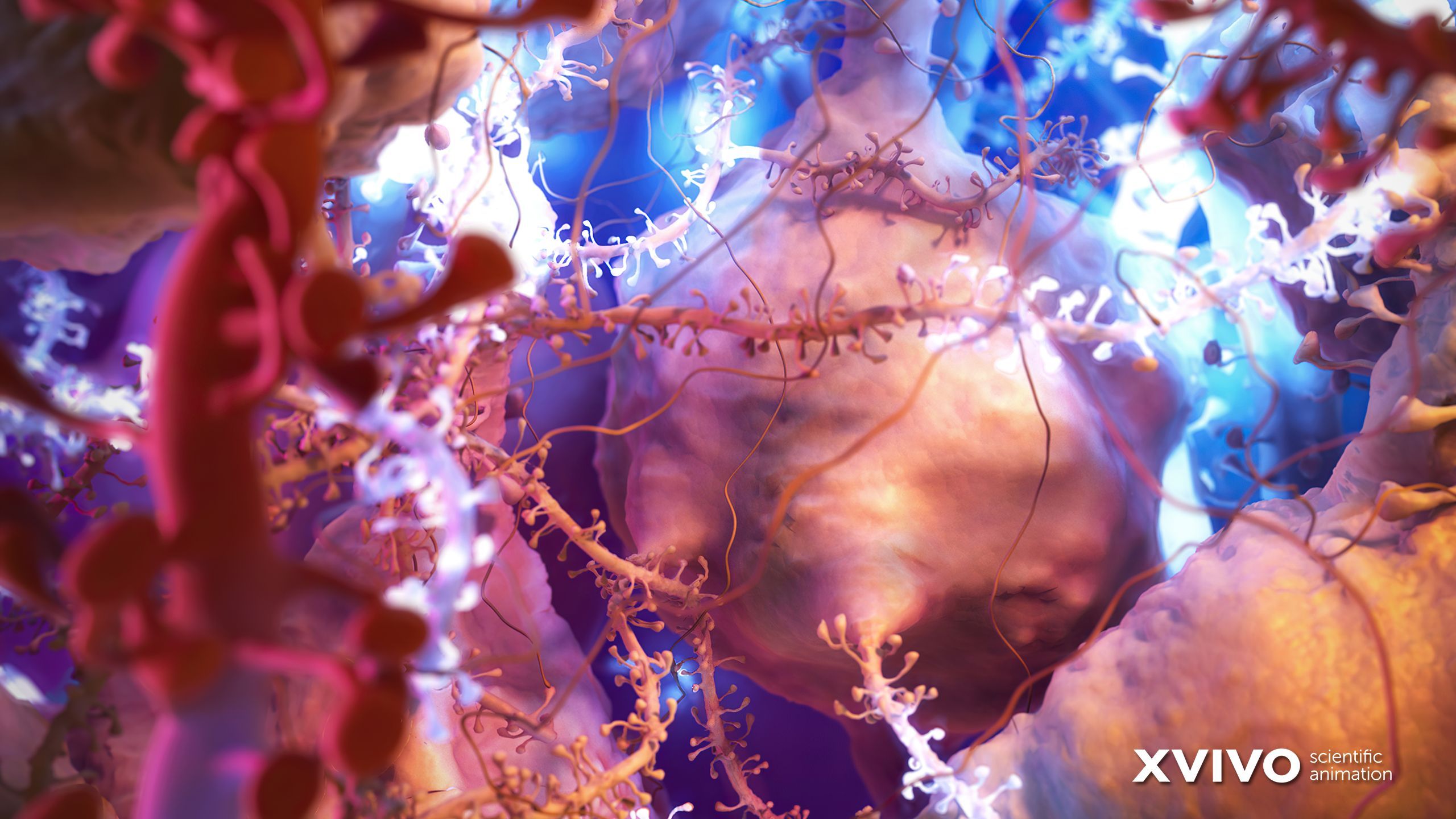 2560x1440 Neurology Animation & Videos. XVIVO Scientific Animation