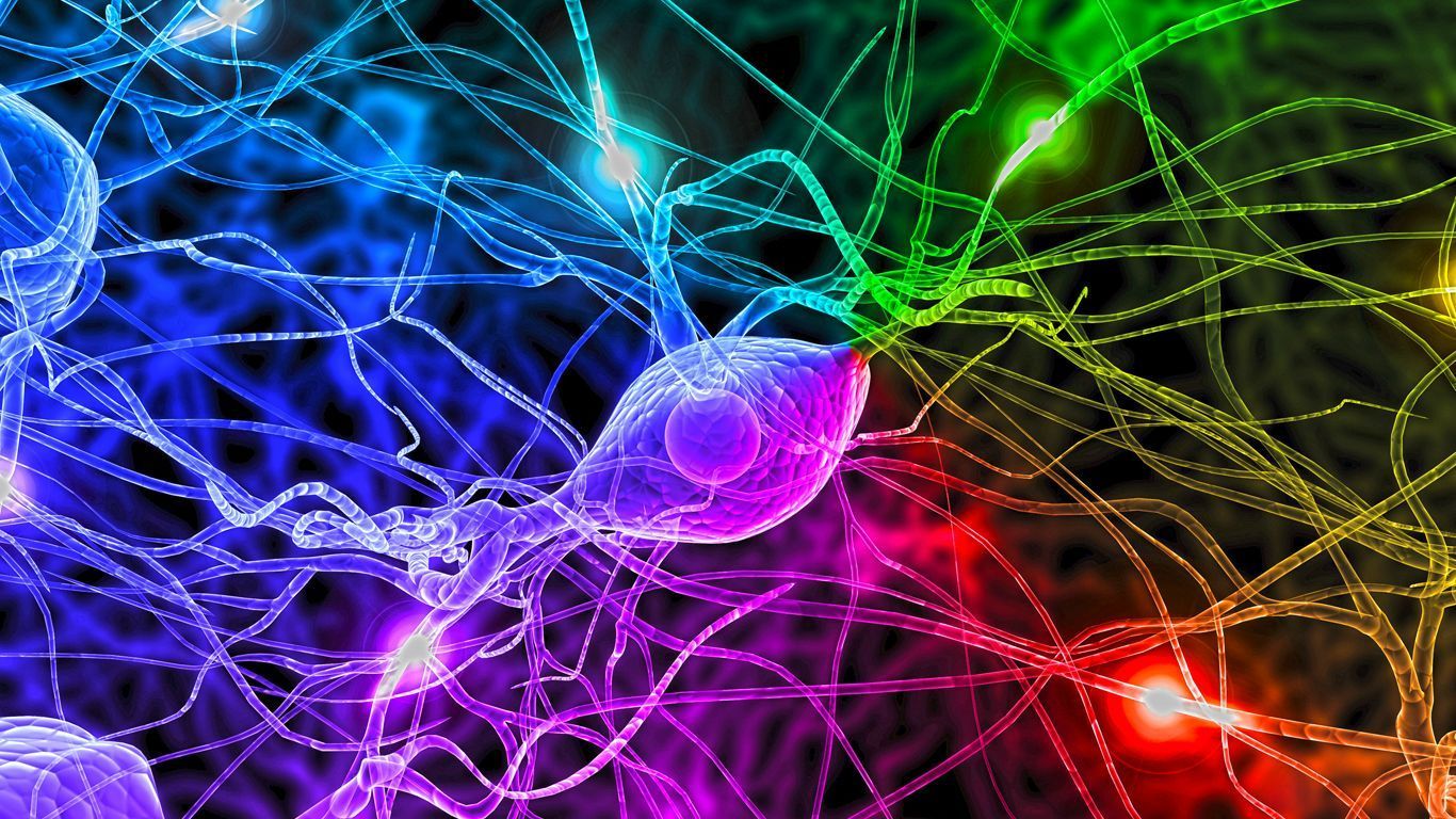 1366x768 Neurologist Wallpaper