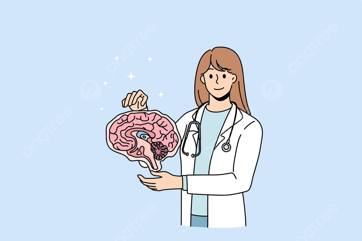 1200x800 Smiling Neuroscientist Hold Human Brain Do Investigation System Medicare Test Examine Vector, System, Medicare, Test Examine Illustration Background And Wallpaper For Free Download