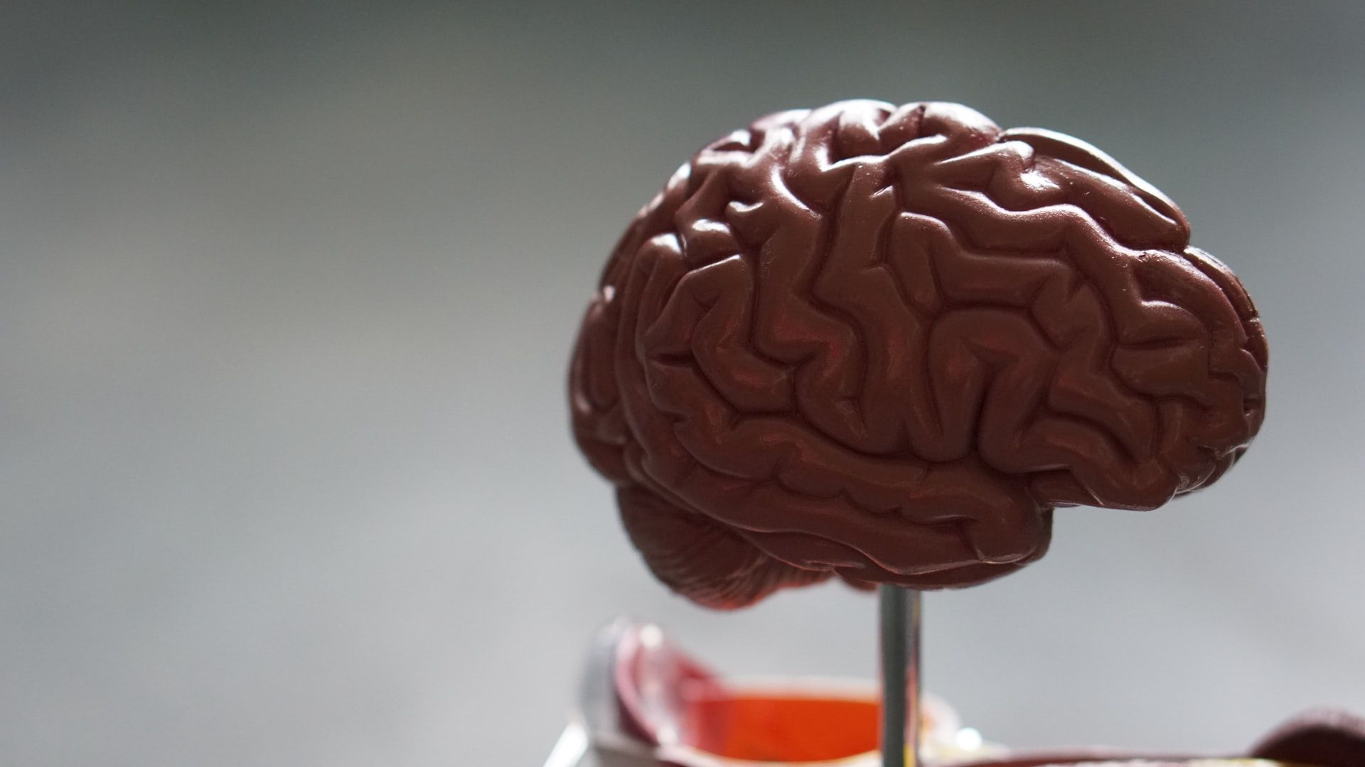 1920x1080 So You Want to Be a Neurologist. Med School Insiders