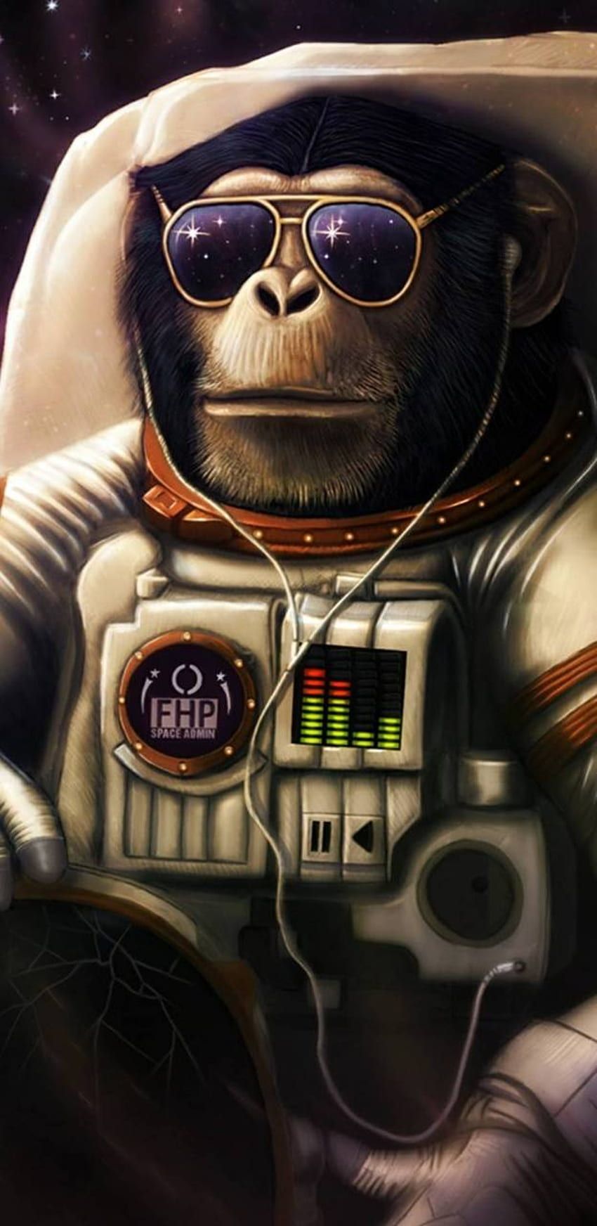 850x1744 Monkey, DJ Monkey HD phone wallpaper