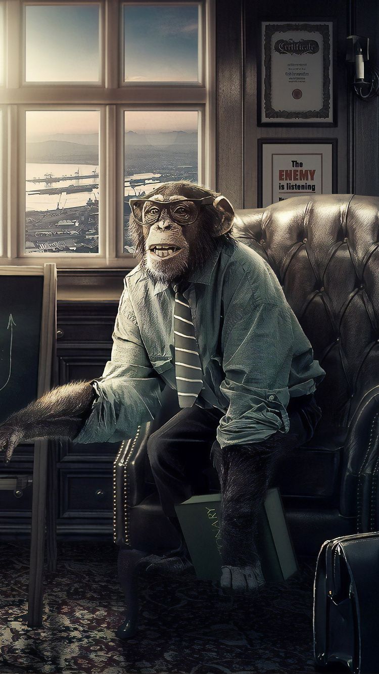750x1334 Monkey iPhone Wallpaper