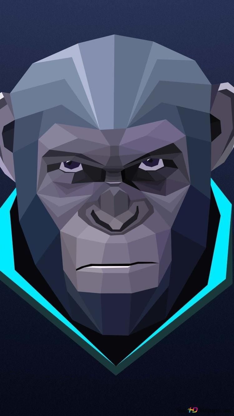 750x1334 Black dark blue background photo of tough looking serious monkey with 2K wallpaper download