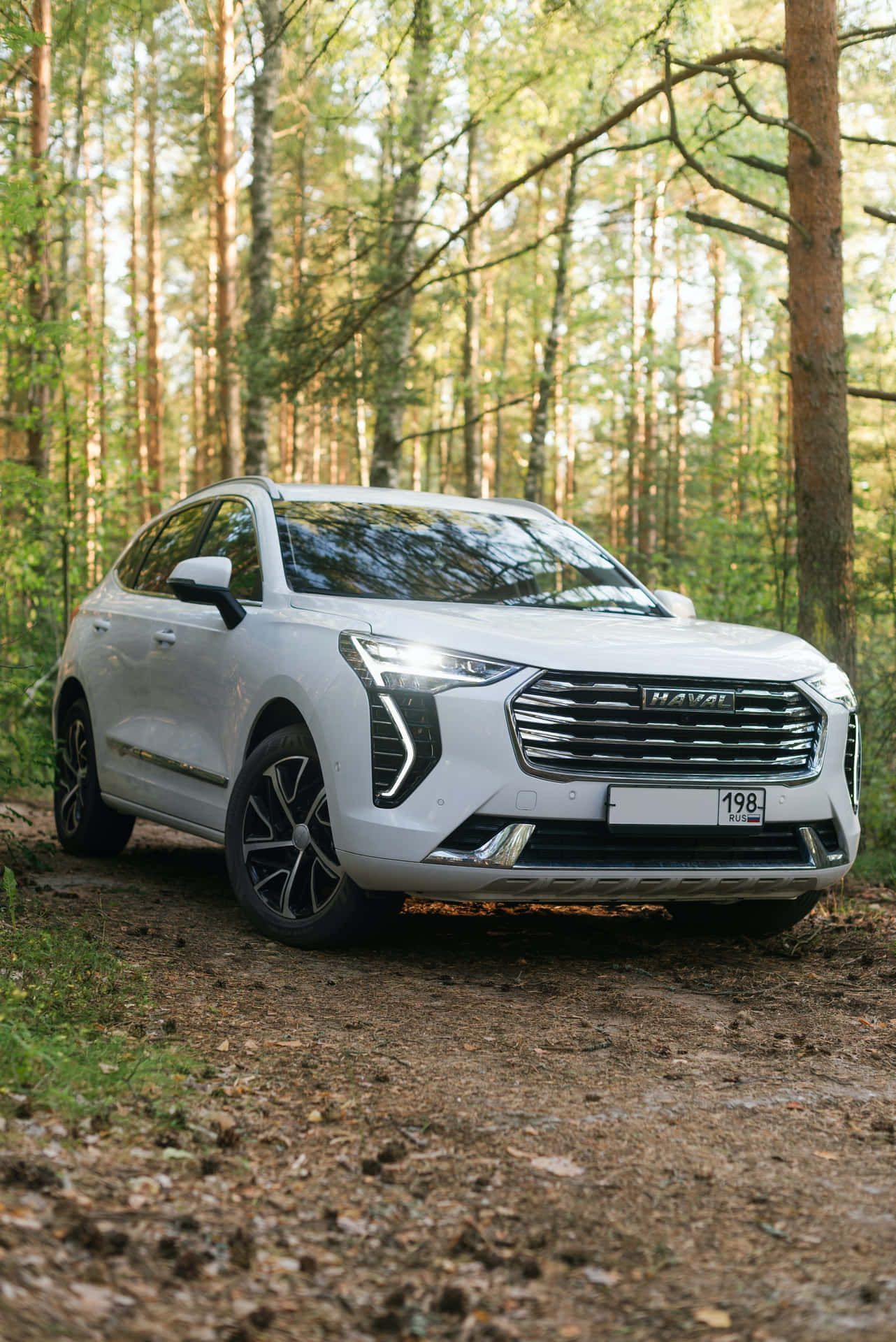 1282x1920 Haval Wallpaper