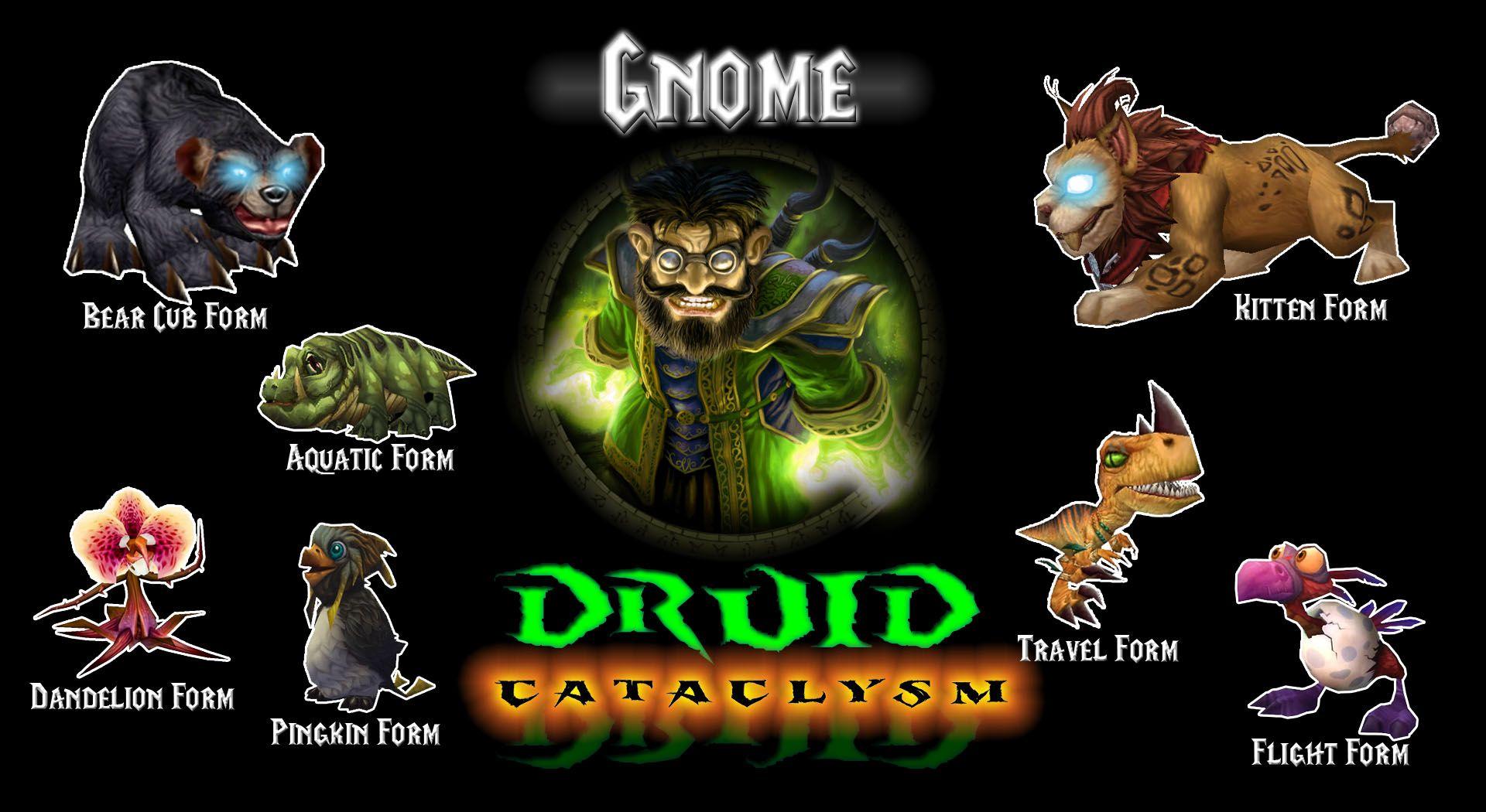 1920x1050 Free download WoW Cataclysm Gnome Druid